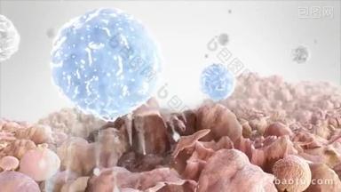 吞食受感染微生物的巨噬细胞的三维微生物学动画